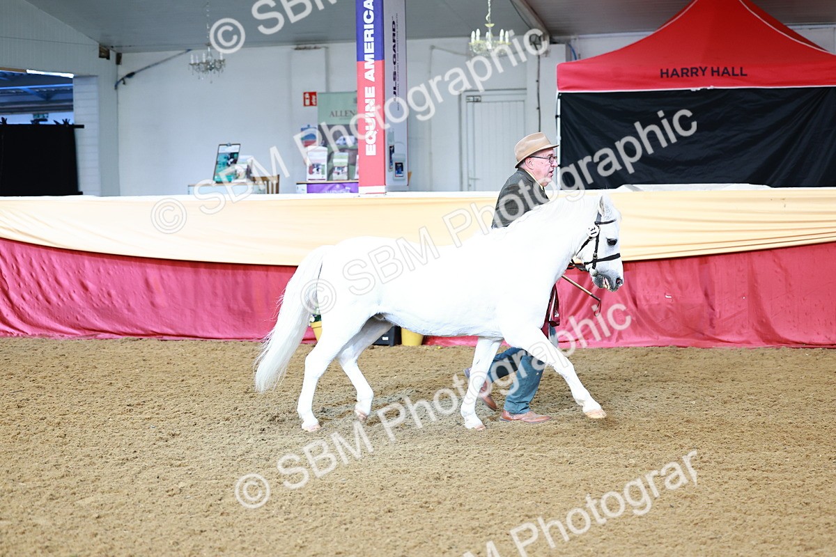 SBM_21945 - Class 901 - Supreme Final - IH  Diamond