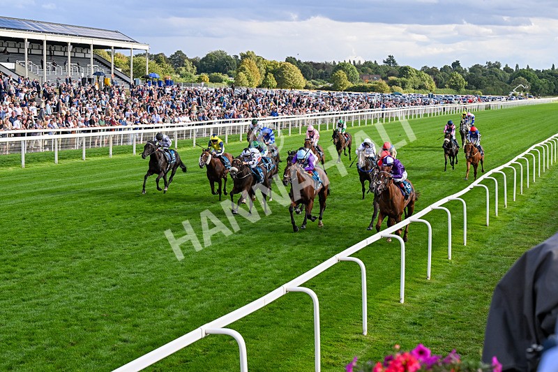 190826-Race 7-Henley On Thames-0787 - Race 7 17.20pm Sky Bet Nursery Handicap