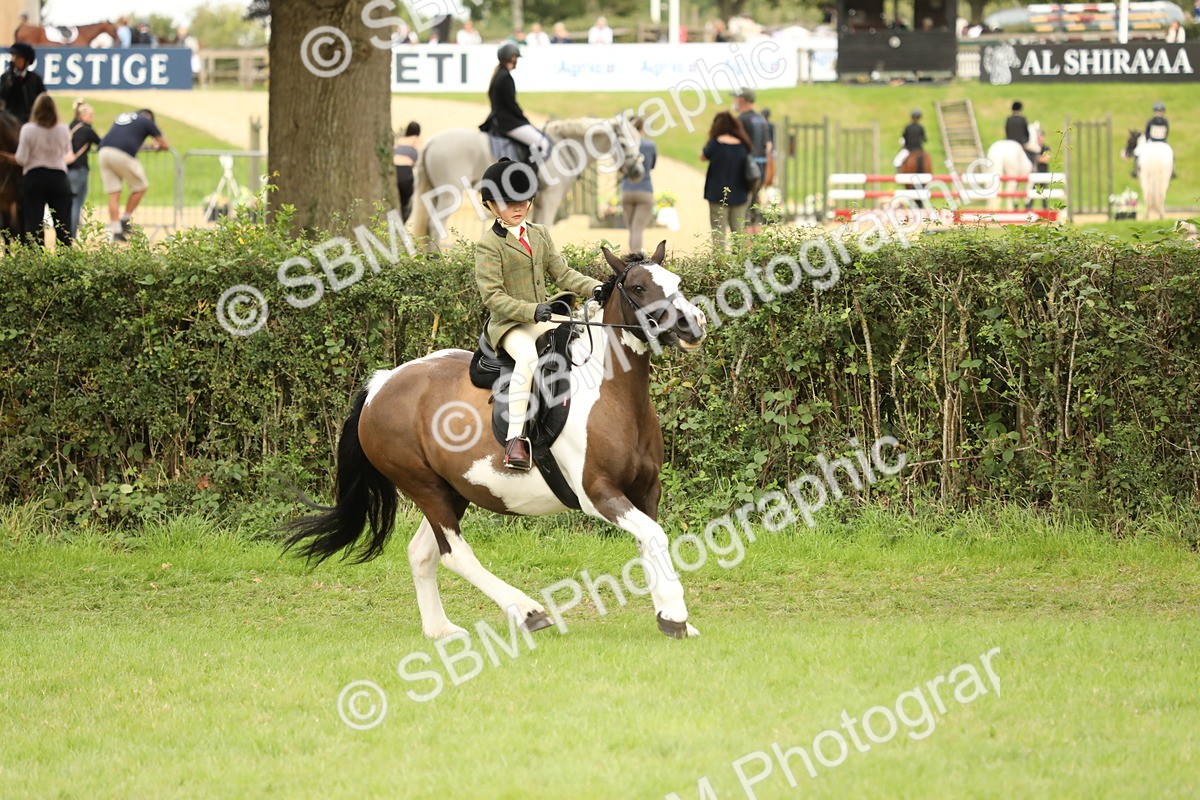 SBM_71574 - S41 - Ridden Equitation (Best Rider)