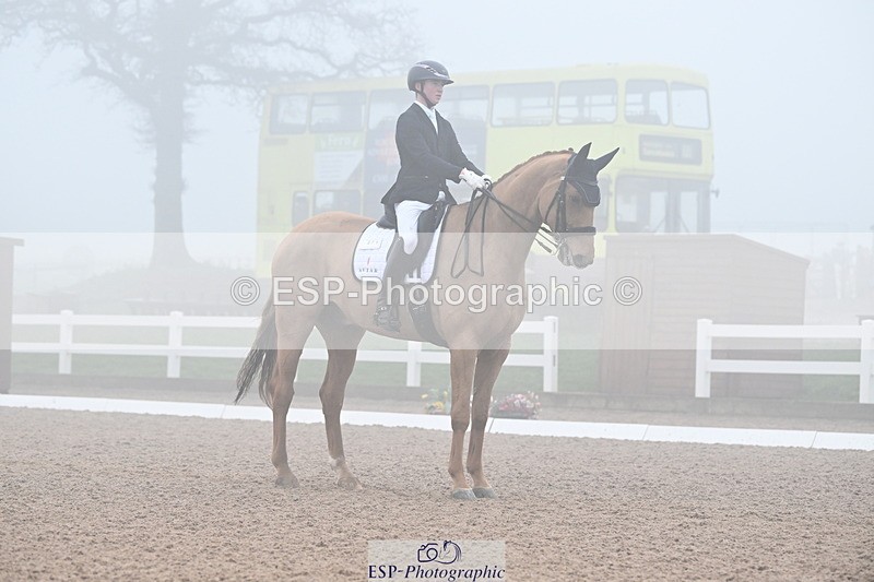 240217A-131608-02800 - 271-Tom.Carter-Rubin.Regal