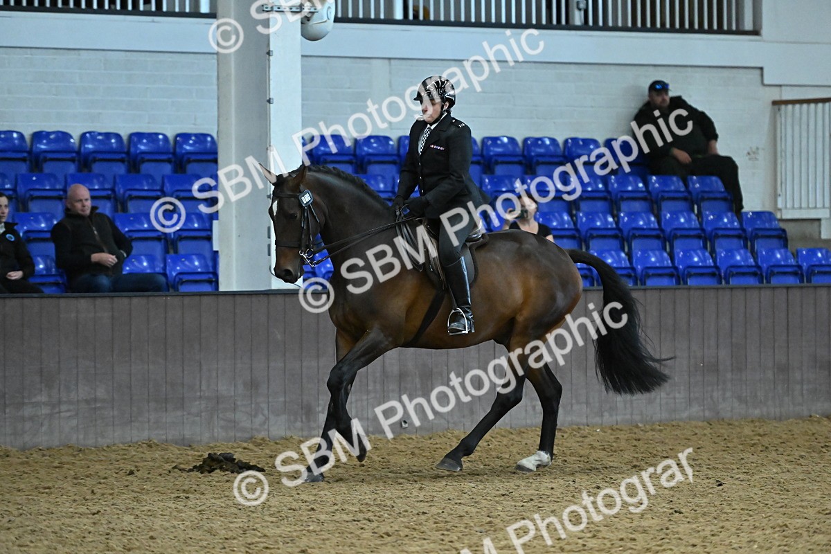 SBM_002079 - Class 23 - BSHA Ridden Show Hunter