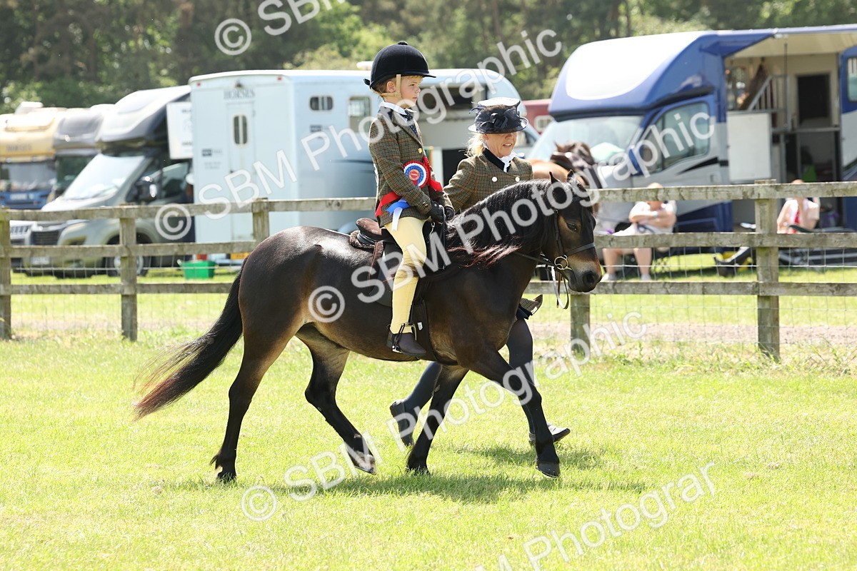 SBM_05426 - Class 24-25 - Mountain & Moorland In Hand Lead Rein and First Ridden