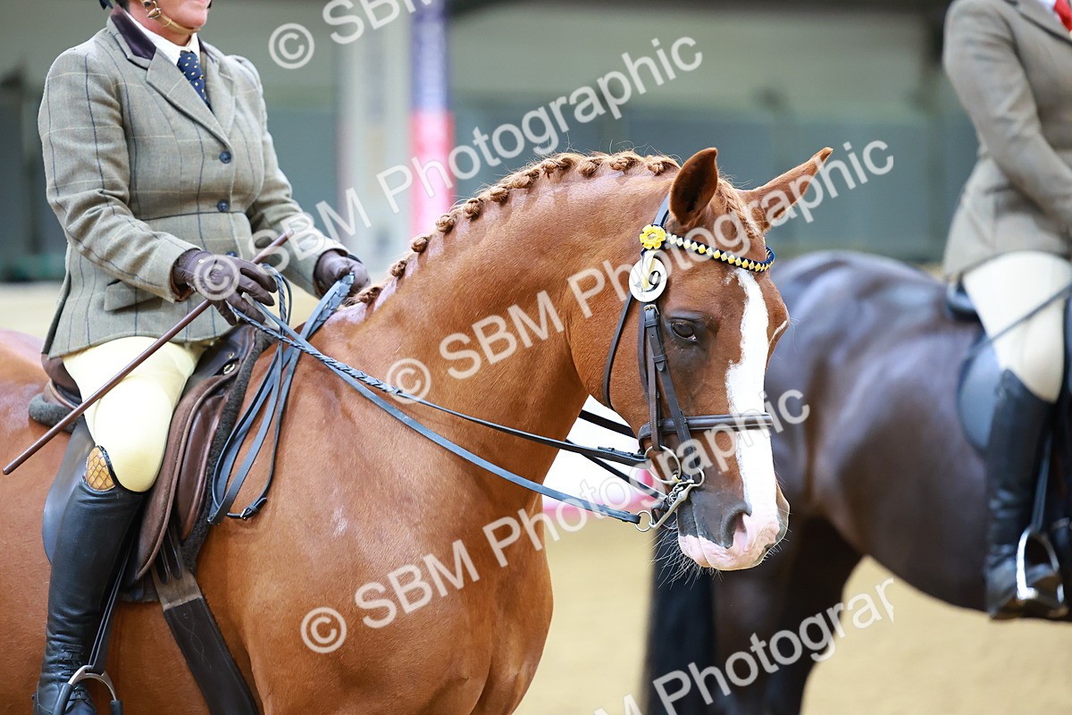 SBM_00823 - Class 6A - Ridden Pre-Vet