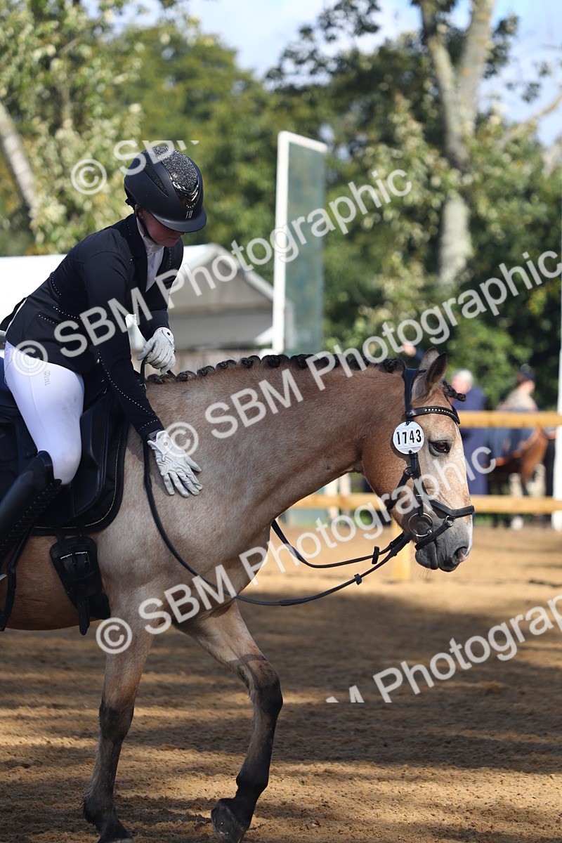 SBM_38994 - D21 - Junior Championship Intro 1
