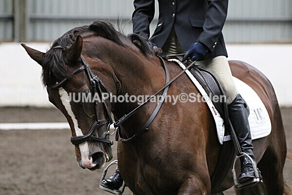 SIAL4645 - CAbin Dressage 5th july 2025