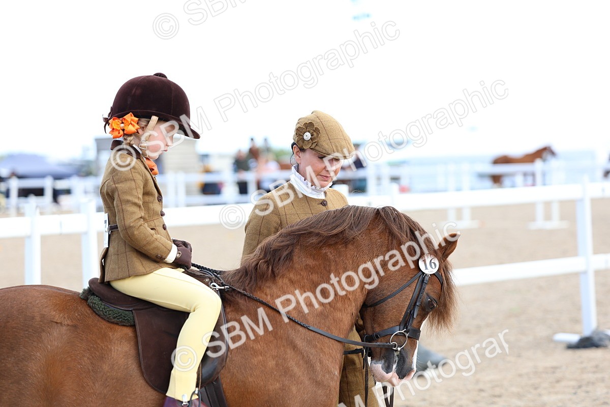 SBM_13098 - Class 309 - Lead Rein Pony