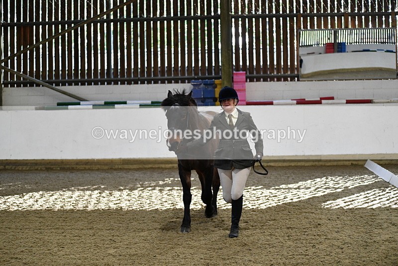 WJ5_3567 - Class 5 In Hand Veterans