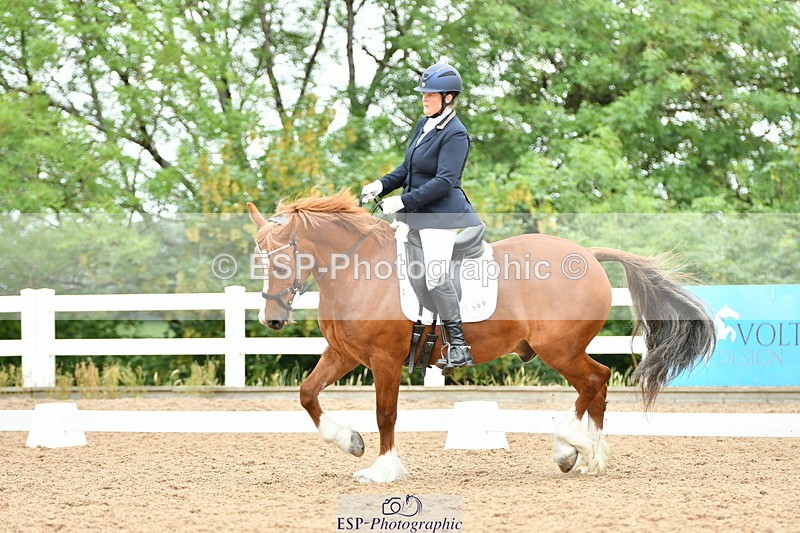 230630A-115019-01703 - Cls 7 Elementary 45