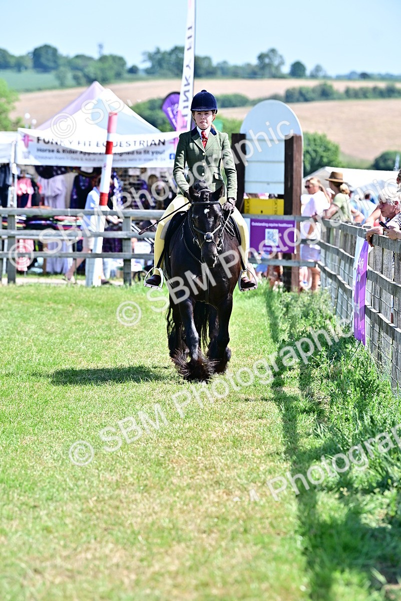 SBM_14006 - Class 95-97 - BSPS LHS Performance Ponies