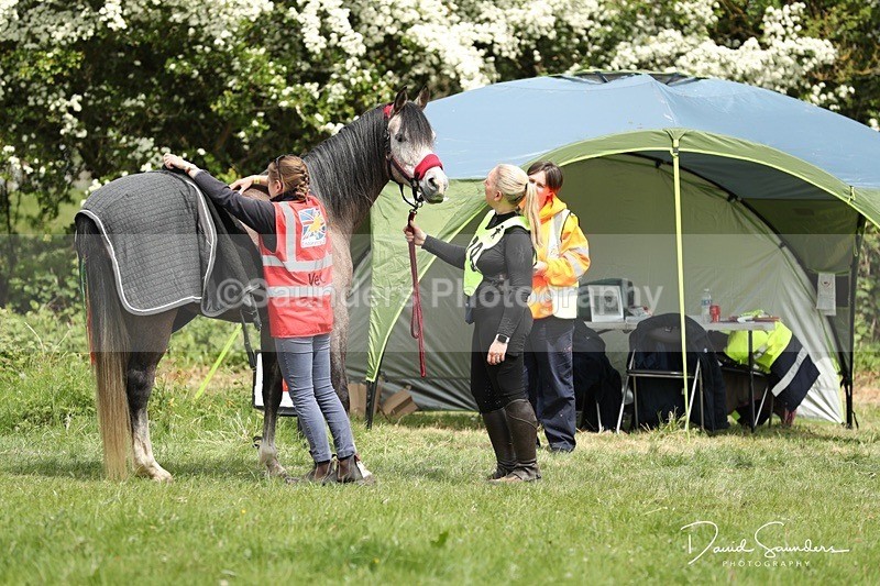 DSP29631 - Venue & Vetting