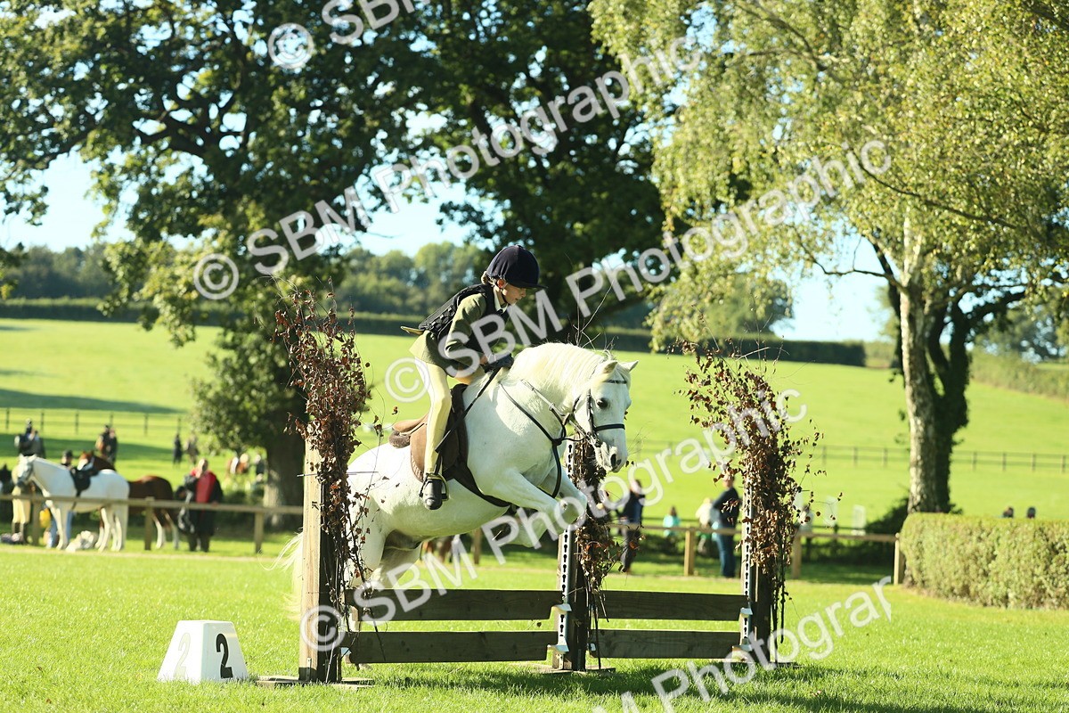 SBM_36377 - S29 - Novice & Newcomers Working Hunter Pony