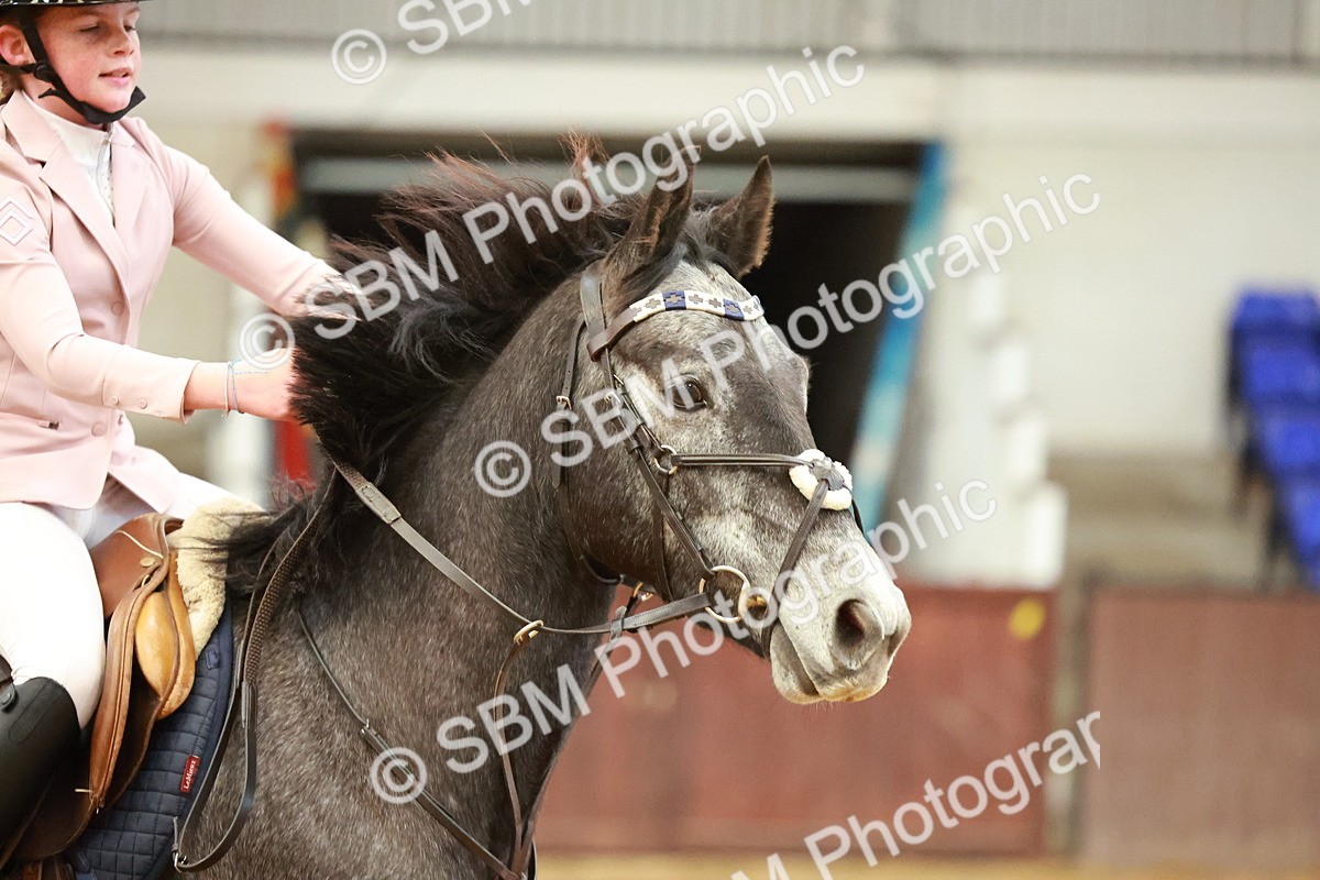 SBM_000749 - Class 2 - 50cm