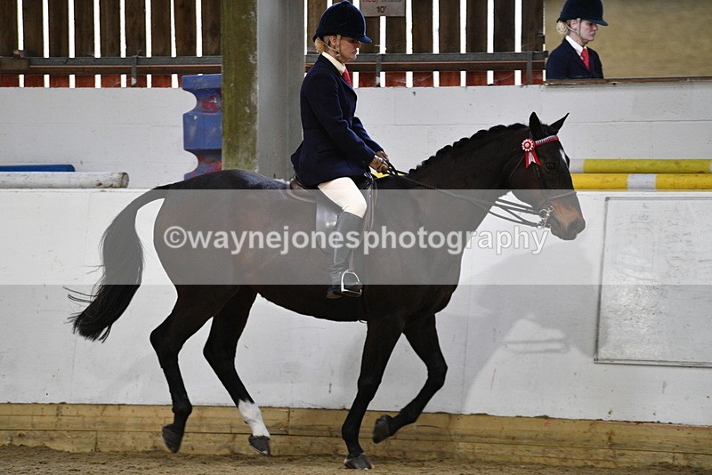 WJ5_7863 - Class 13 Ridden Part Breed