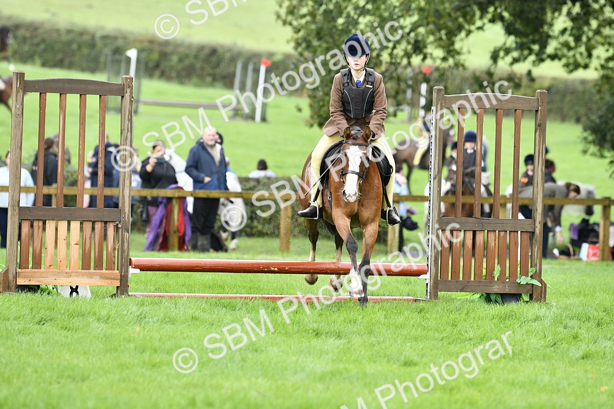 SBM_35442 - S30 - Nursery Stakes Working Hunter Pony