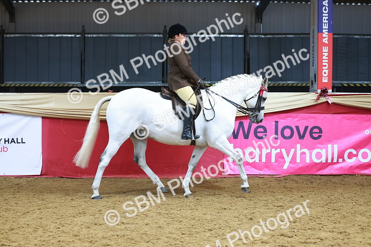 SBM_12468 - Class 103 - HOYS Veteran Qualifier - Ridden Pre Vet