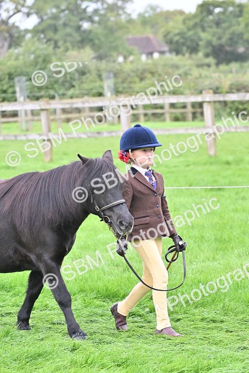 SBM_60890 - S48 - Mountain & Moorland In Hand Small Breeds