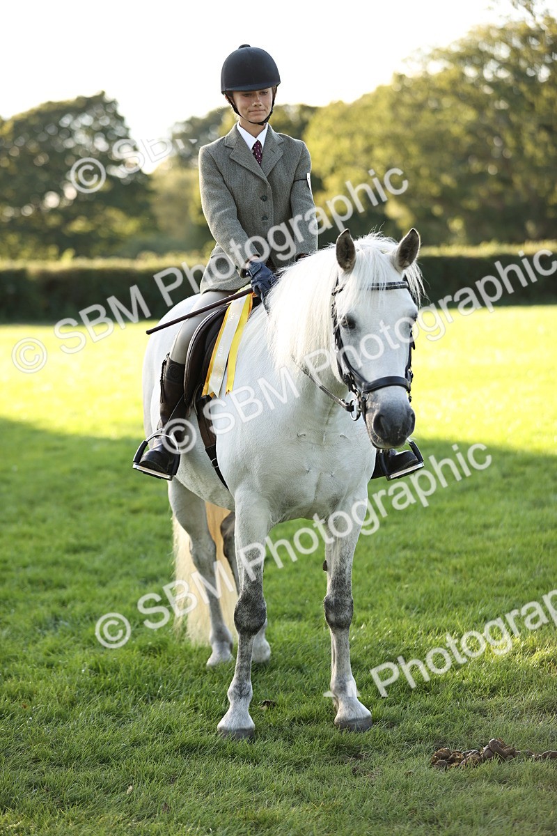 SBM_29641 - S7 - Novice & Newcomers Ridden Pony