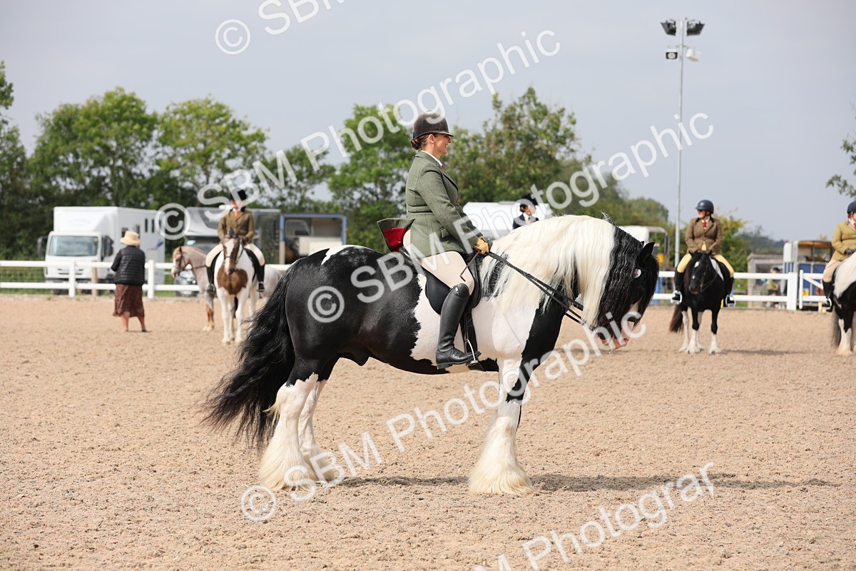 SBM_12809 - Class 307 Ridden Coloured Pony