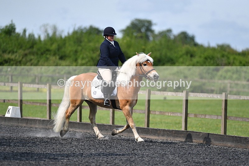 WJ5_9228 - Time 10:10 to 10:47