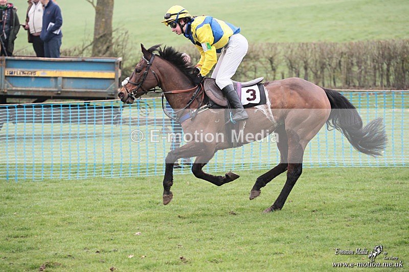 PR PtP 080326 294 - Guilsborough Pony Races 08/03/26