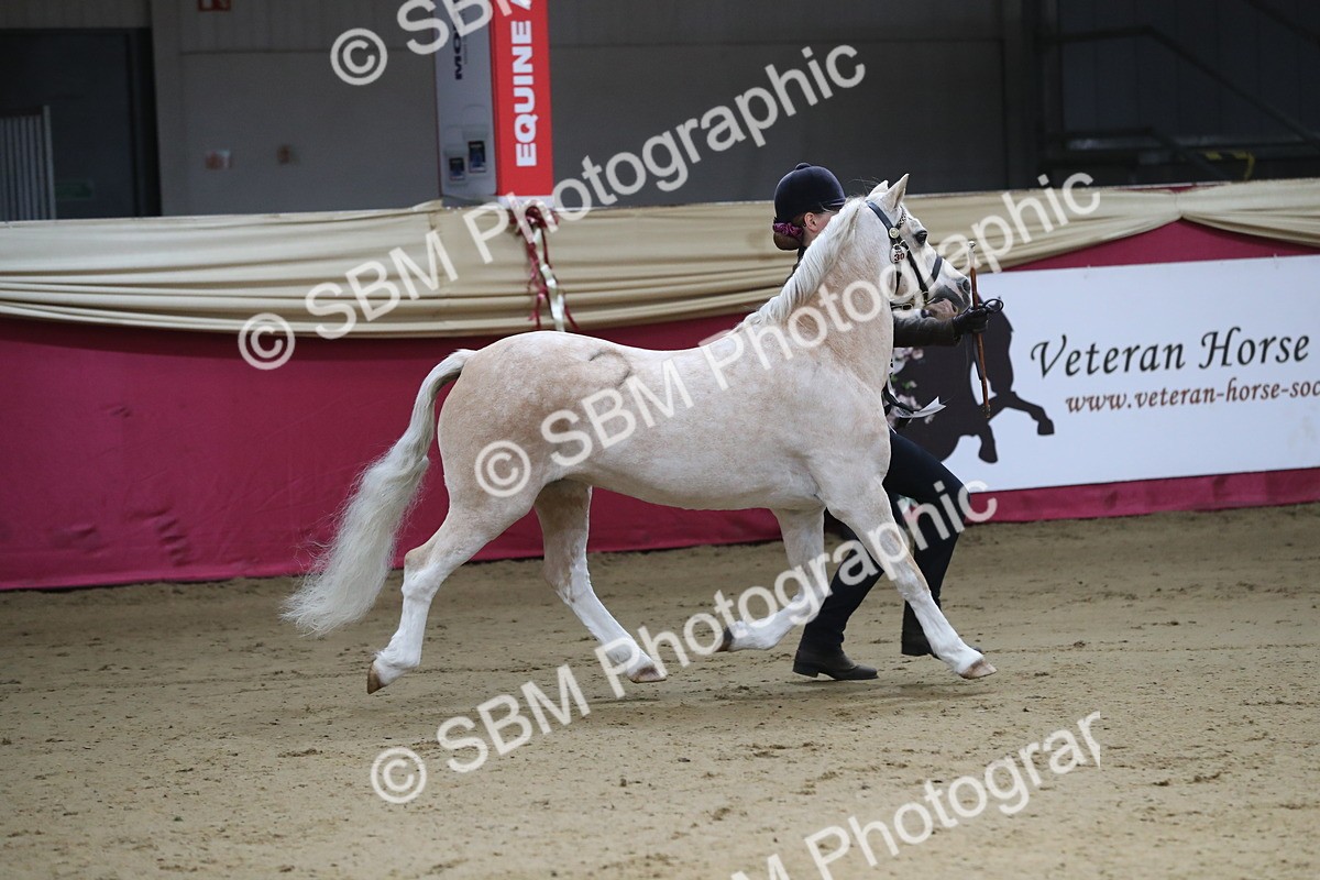 SBM_00351 - Class 1a - Area IH Diamond