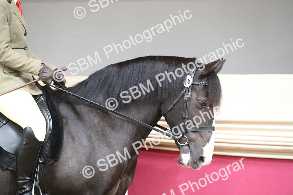 SBM_16259 - Class 502 M&M Ridden Supreme Final