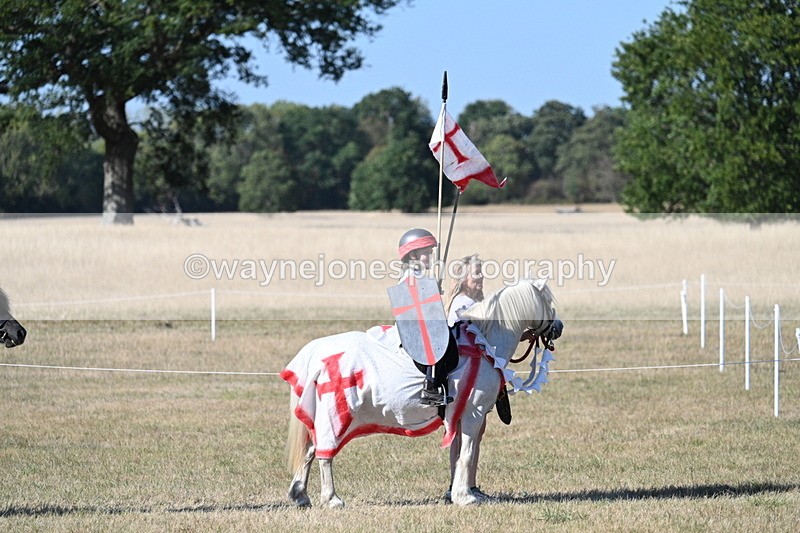 WJ7_2768 - Class 45 Fancy Dress (My Fav)