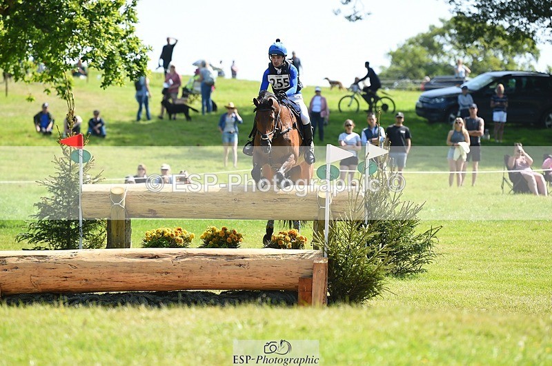 230527-102540-08545 - 255-HI_MR_HENRY-Henry_Hobby-XC