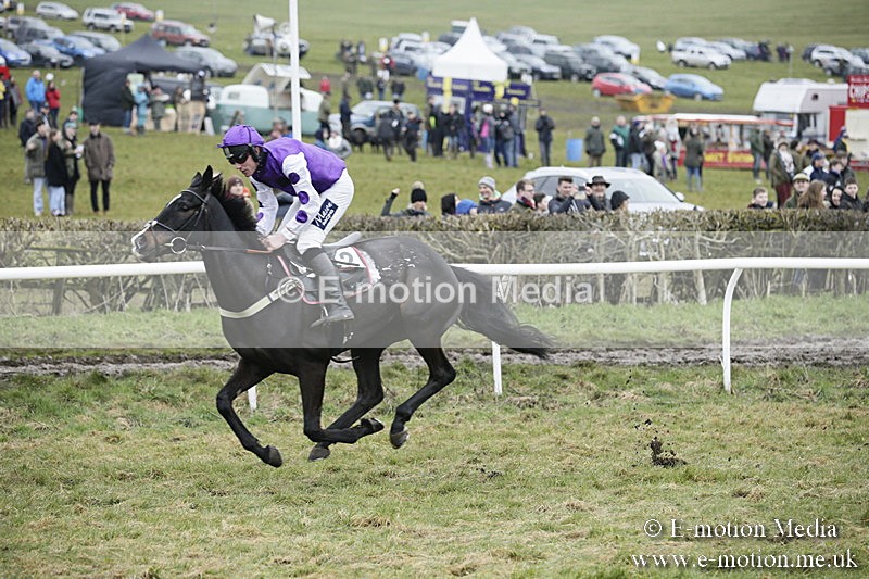 PtP 020418 -491 - Old Berks Point-to-Point Races Easter Monday 02/04/18