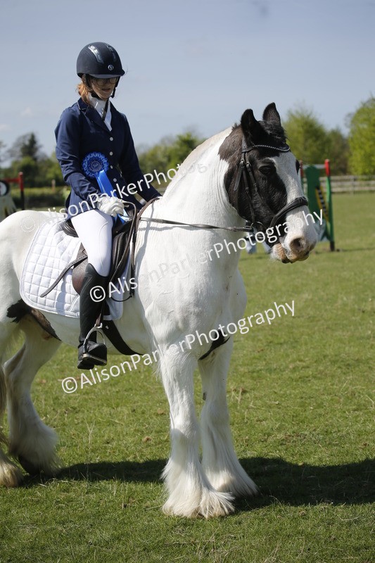 20250427-2366 - Class 13 - Novice Jumping 60cm