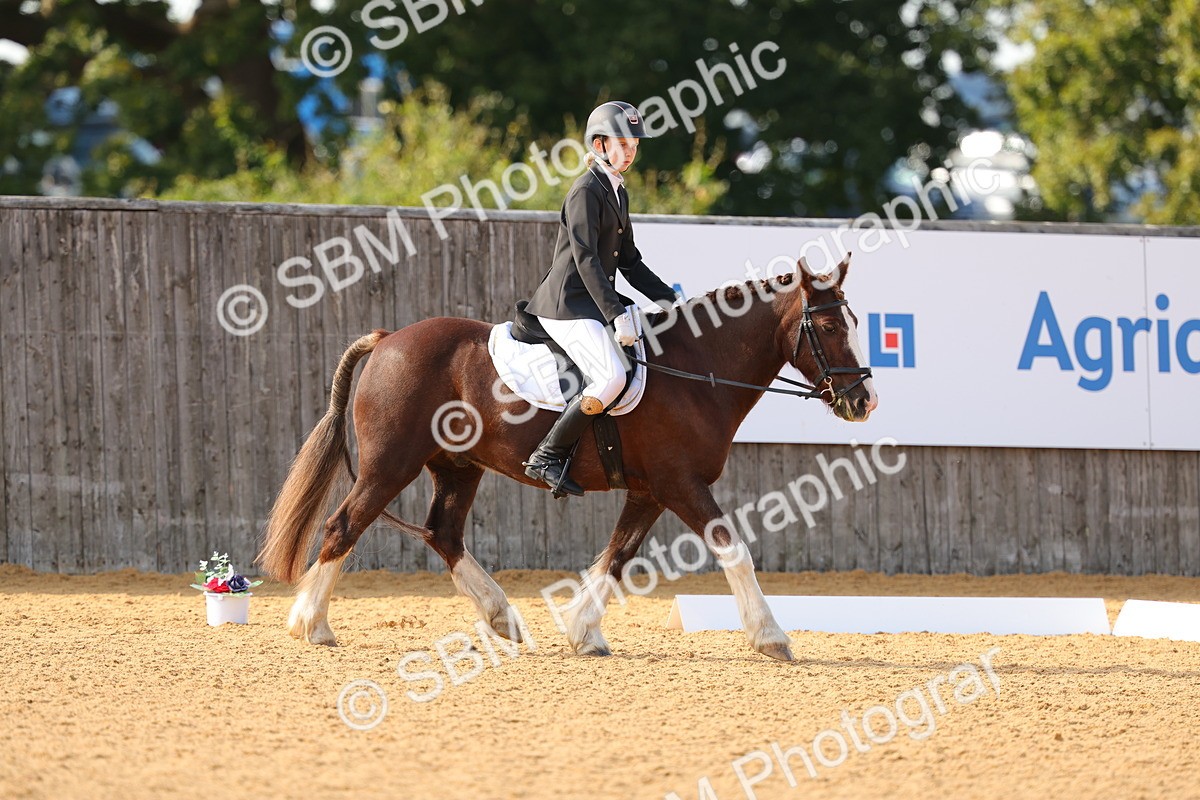 SBM_49639 - D22 - Junior Championship - Intro B