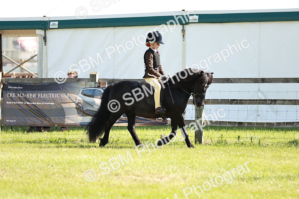 SBM_12579 - Class 106-107 - BSPS LIHS Working Sports Pony