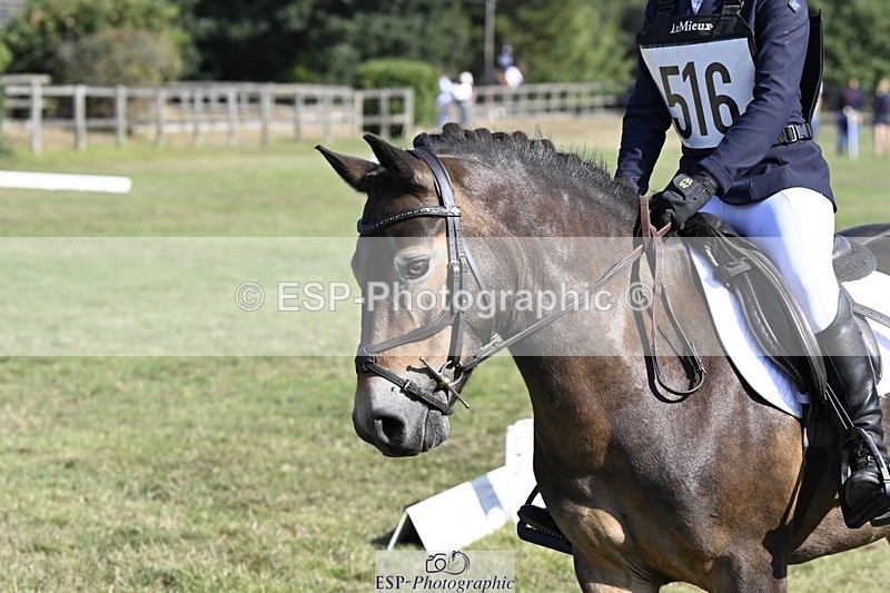 250822A-101121-20167 - DR 10.00 to 11.00