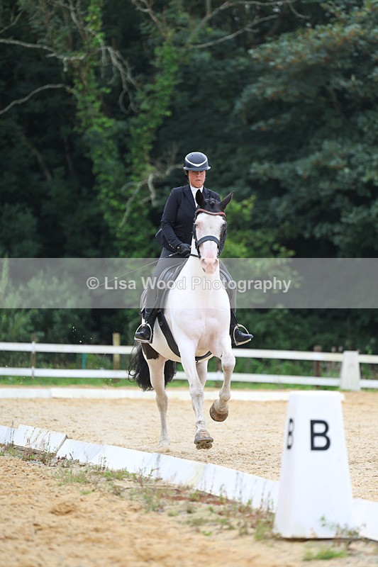 3E7A7081 - Class 7: Novice 4 2024 Section B