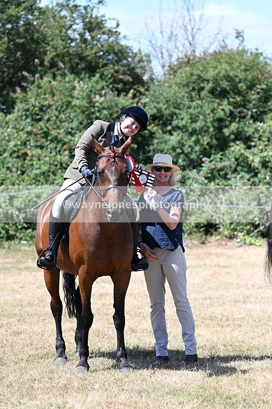 WJ7_3170 - Class 7 Riding Club Show Horse