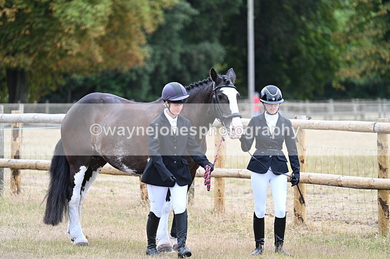 WJ7_8912 - Class 4a Prettiest Mare 14.2hh and over