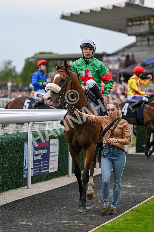 050724-Race 6-Rum Runner-2772 - Race 6