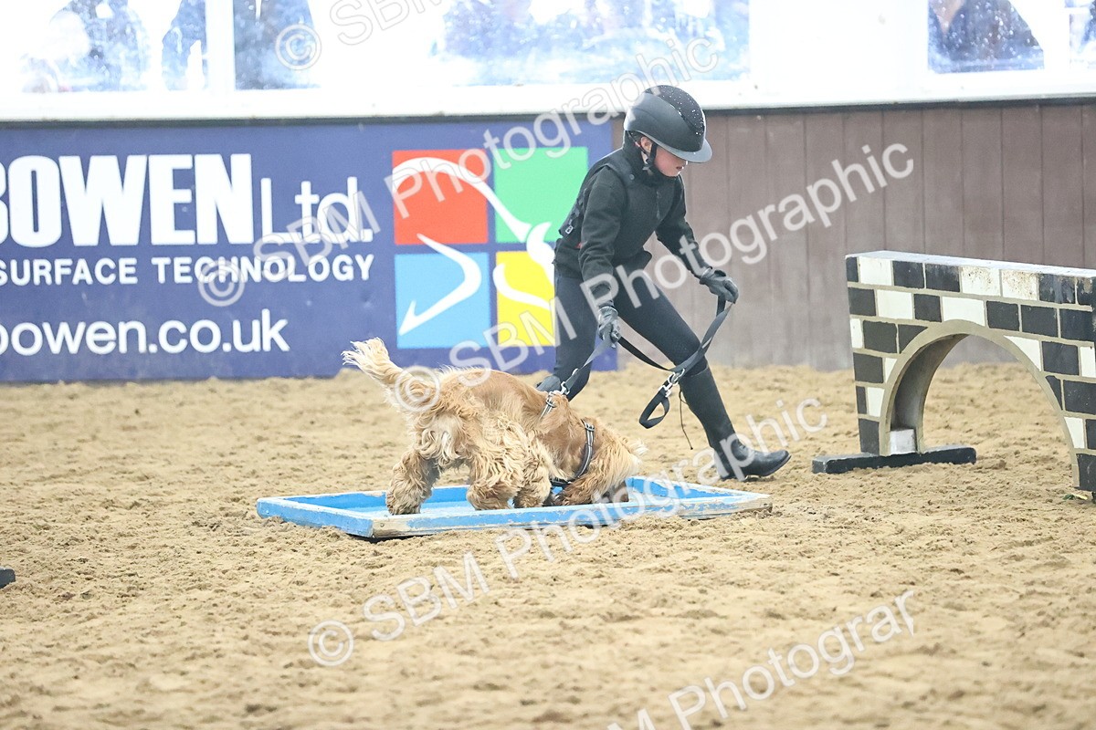 SBM_001416 - Class 3 - Horse & Hound 60cm