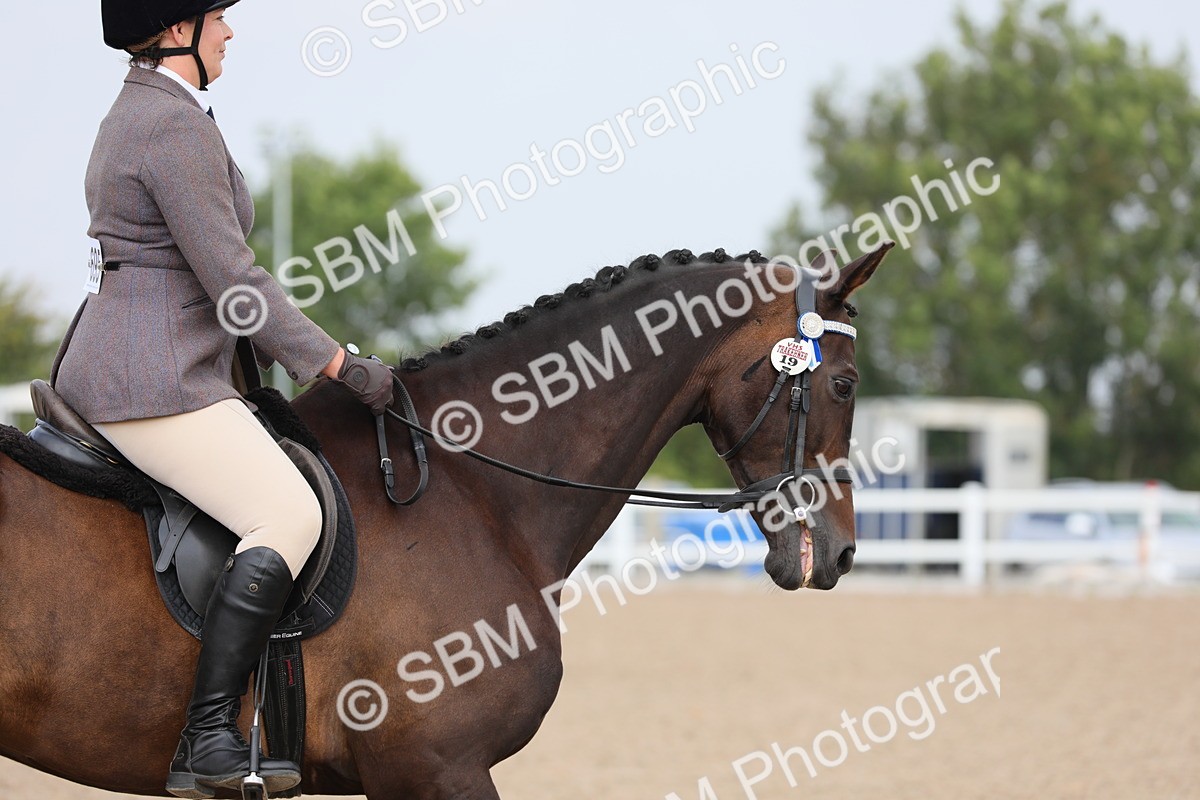SBM_11446 - Class 305 Ridden Foreign Breeds- Pure Bred