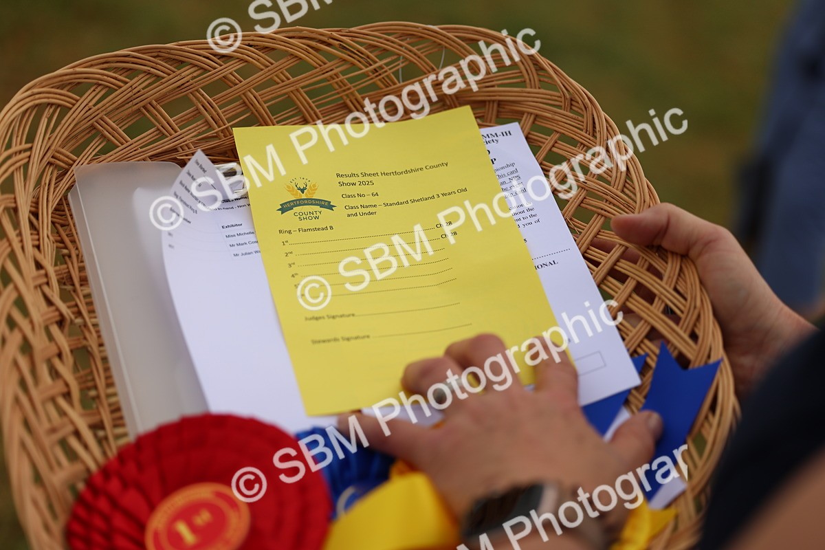 SBM_04321 - Class 64-67 - Shetland Pony In Hand