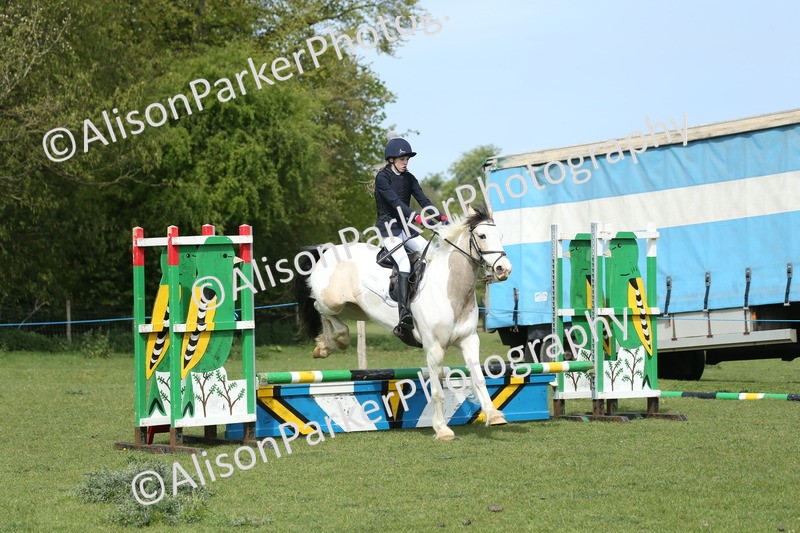 20260426-1651 - Class 14 - Novice 60cm