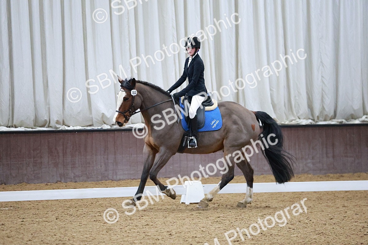 SBM_000151 - Class 17-6-18 - TQ U21 Novice 3Novice 3-MQ Open Prelim 1