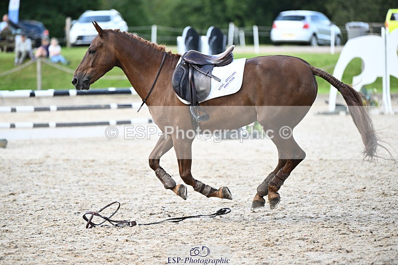 240824X-155051-29784 - 80cm Round 2 15.30 to 16.50