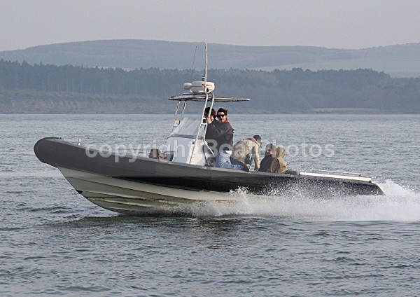 090412 SATELLITE RIB IMG_1847 - RIBs, Tenders, Dories, Dinghies