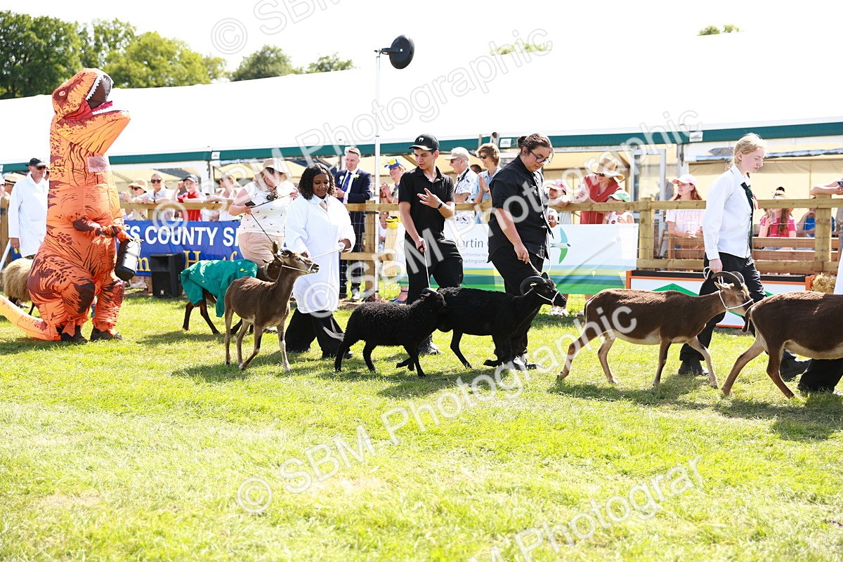 SBM_08403 - Grand Parade