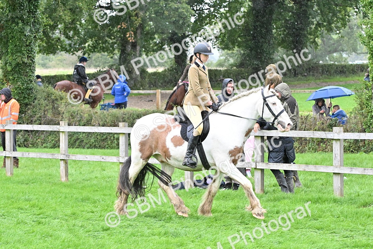 SBM_42974 - S12 - Family Horse & Pony