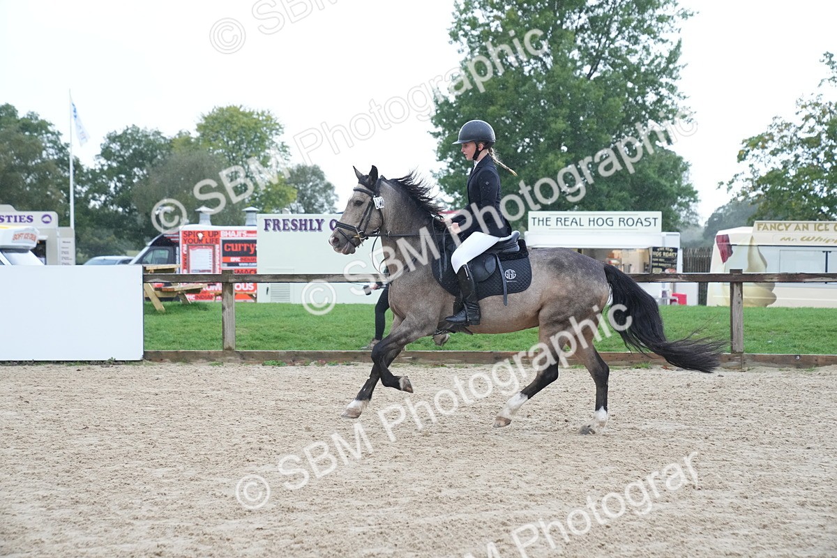 SBM_01662 - J54 - Clear Round 50cm