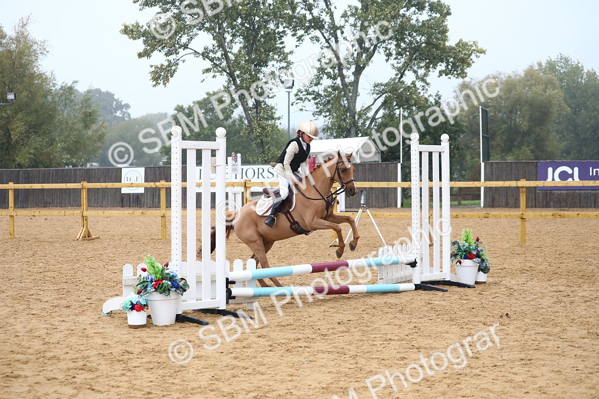 SBM_71734 - J4 - Mini Tour Junior Pony 45cm Championship
