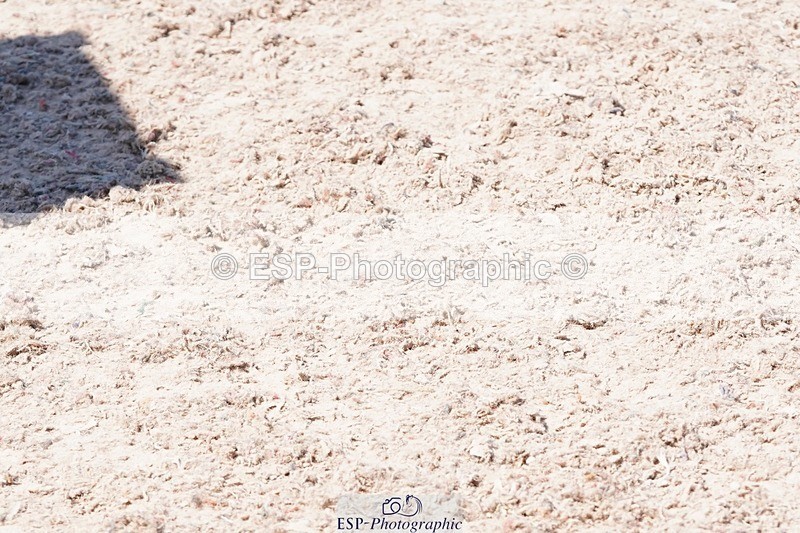 250503-140218-01203 - Cls 27 Stepping Stones