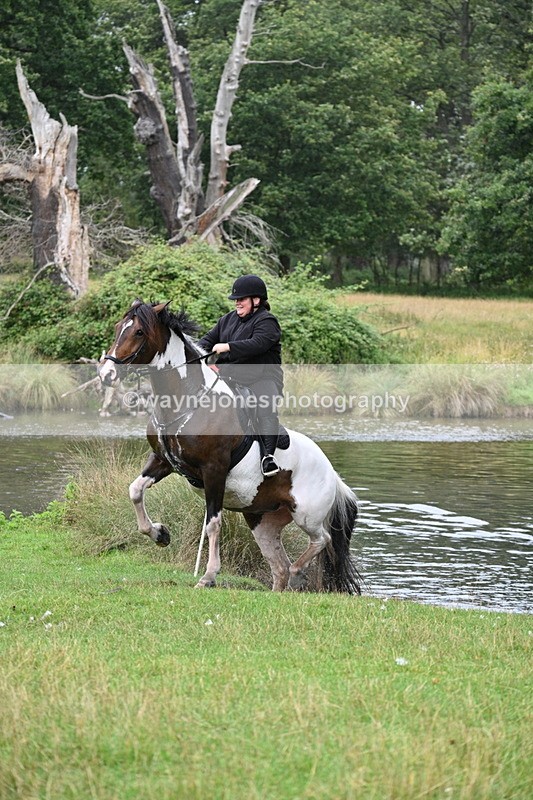 WJ7_6972 - Time at Water 10:01 to 10:27